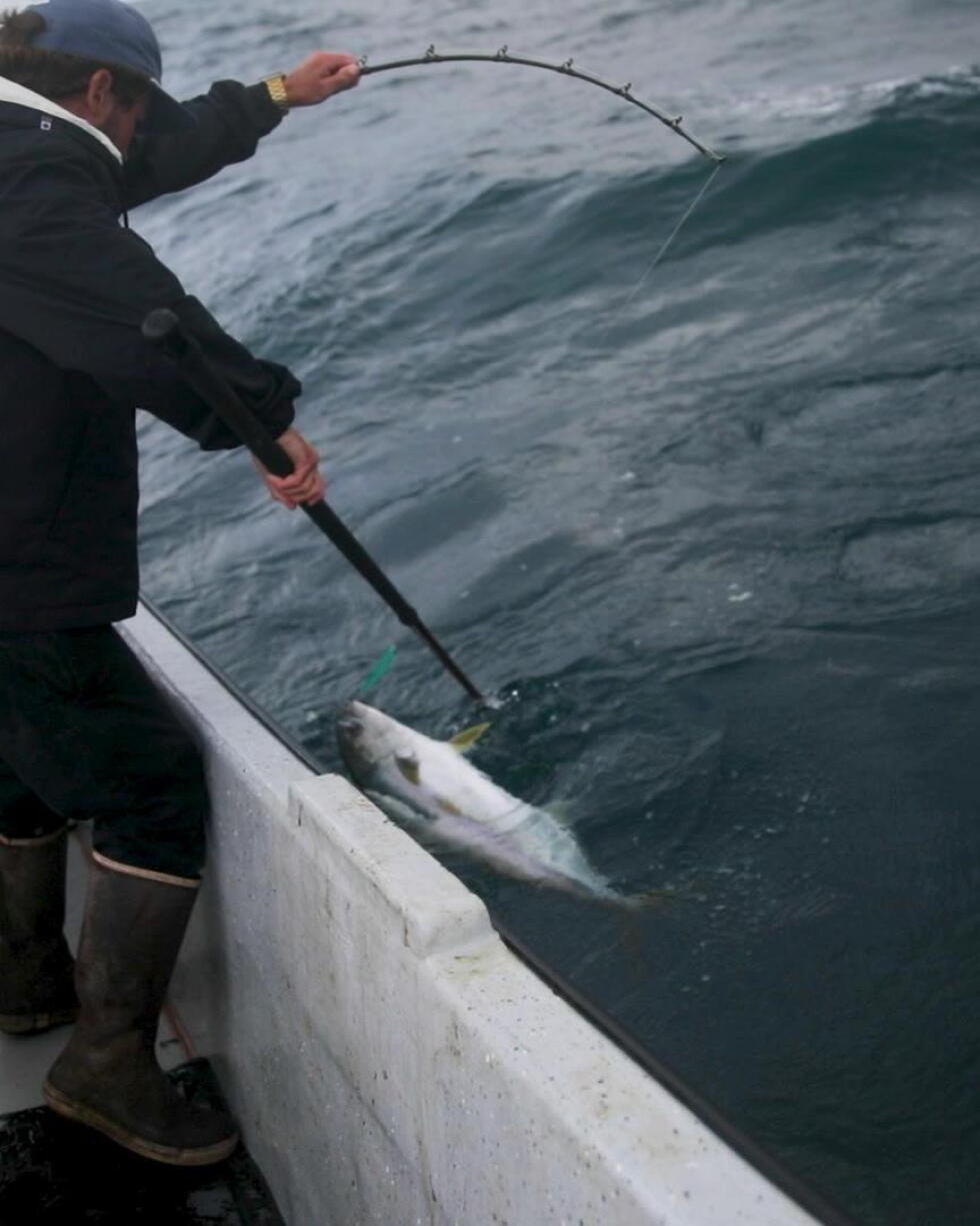Why San Diego’s Commercial Fishing Fleet Is Disappearing