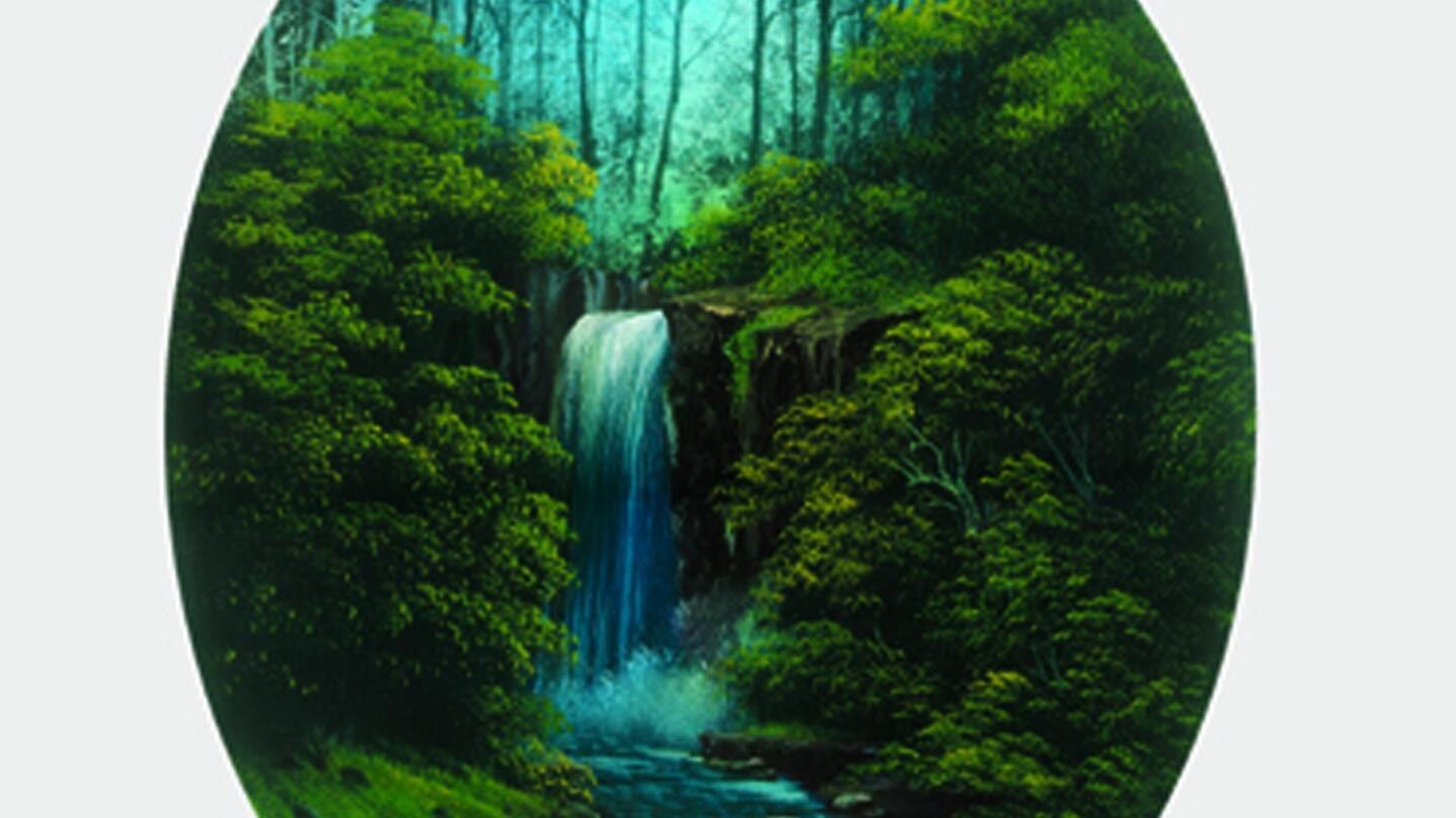 Deep Forest Falls