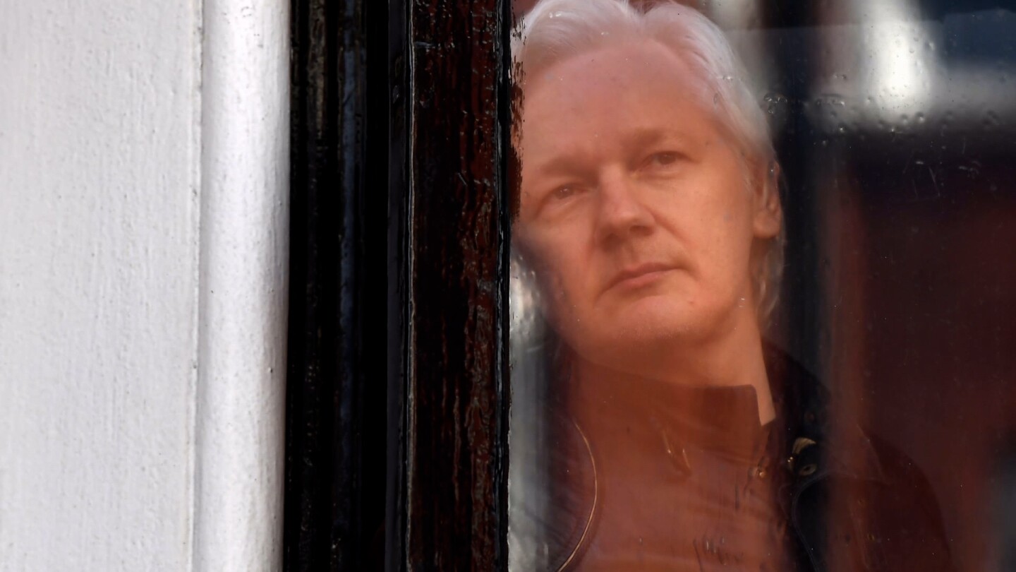 Julian Assange looks out a window.
