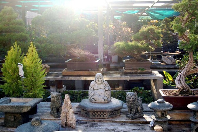 Yamaguchi Bonsai Nursery | Carmen/Flickr/Creative Commons (CC BY-NC-ND 2.0)