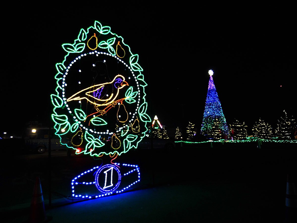 Christmas lights in the shape of a partridge in a pear tree from the song "12 Days of Christmas" at Night of Lights OC at the OC Fair & Event Center. | Sandi Hemmerlein