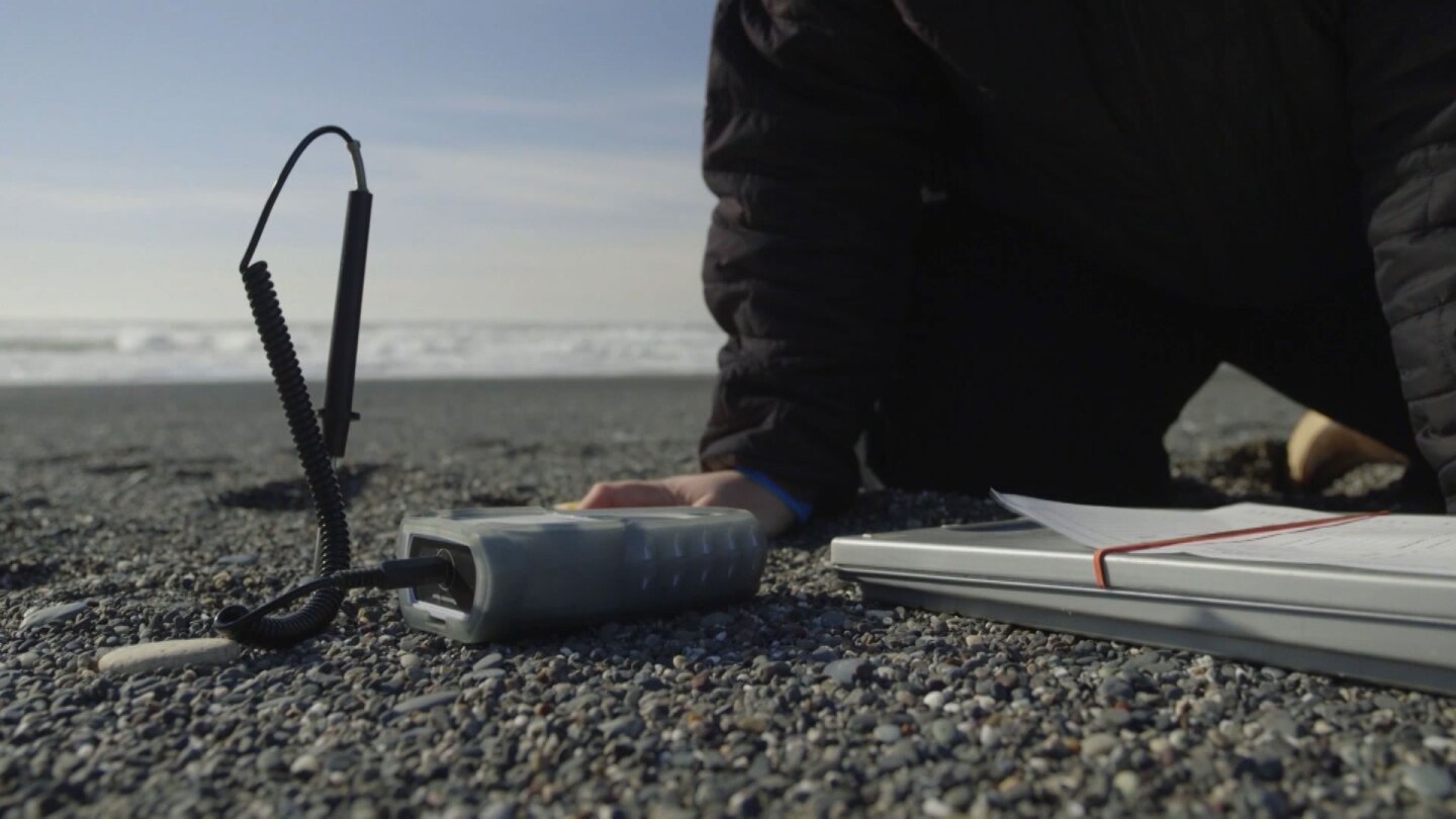 Rosa Laucci, a tribal marine biologist, collects data to monitor for smelt presence on the beach. | Still from "Tending Nature"