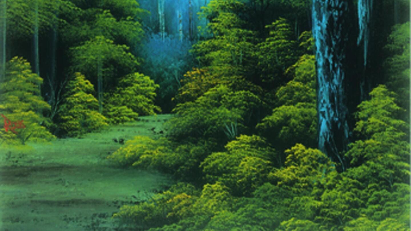 Wilderness Trail