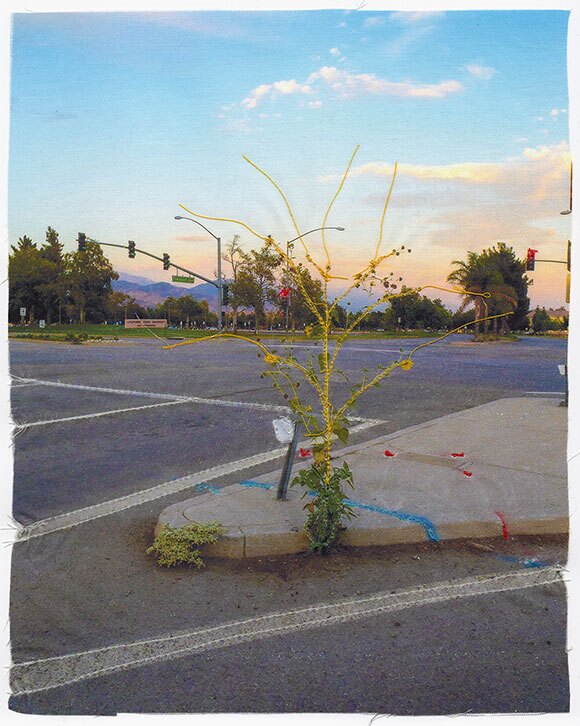 Andrew K. Thompson, "Weed," 2014, Fabric Inkjet Print Accentuated with Thread, 10 x 8 inches