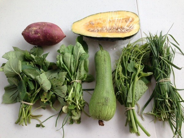 The contents of a typical CSA box