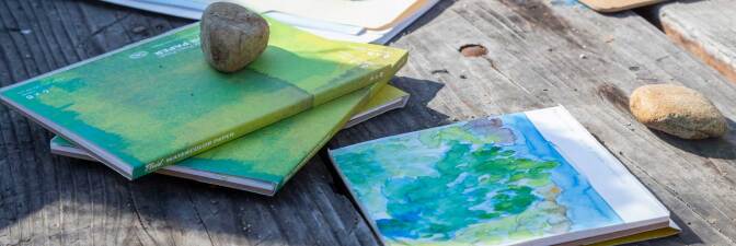 "Three Border Ecologies" artwork | Lena Martinez Miller
