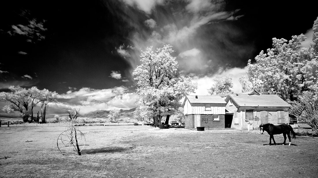 Boarded-Up Farm House with Watchful Horse - Infrared Exposure - Bishop, CA - 2016 | Osceola Refetoff