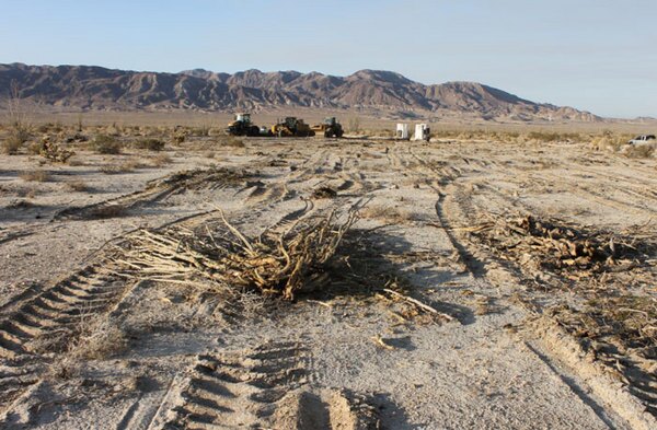 Ocotillo-JPelley-1-thumb-600x393-41380