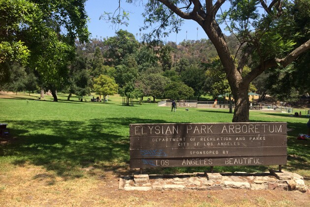 elysianarboretum.jpg