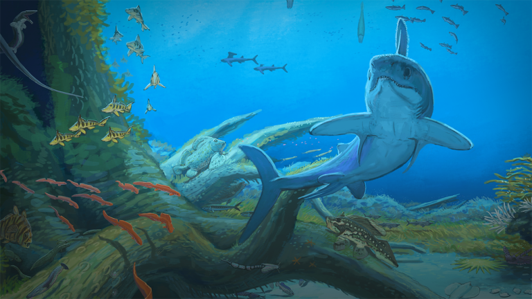 The Golden Age of Sharks
