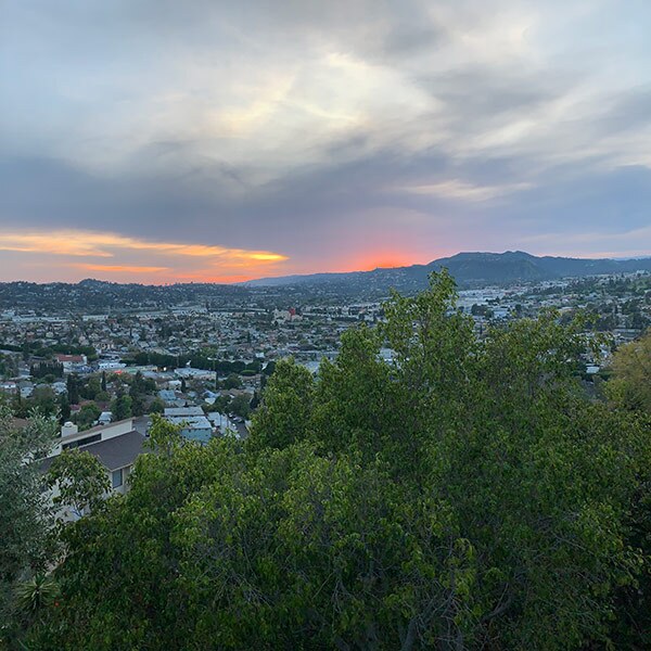 A view of a red sun setting over a hill in the distance, with a green tree in the foreground.