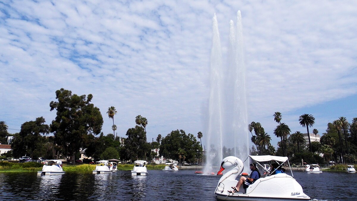 A swan pedal boat at Echo Park Lake | Sandi Hemmerlein