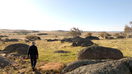 Open Spaces