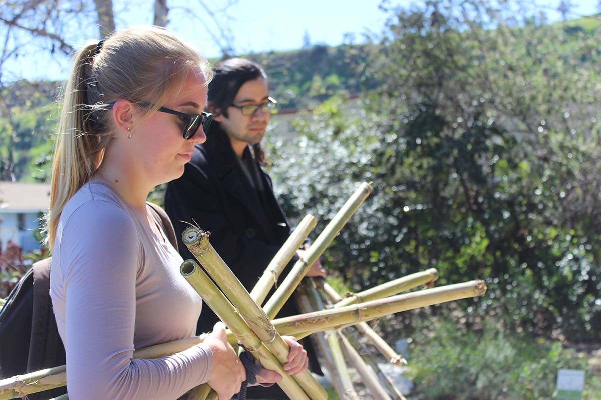 CSUN students Genevieve Hilburn and Stephen Crews gathering arundo | Spencer Robins