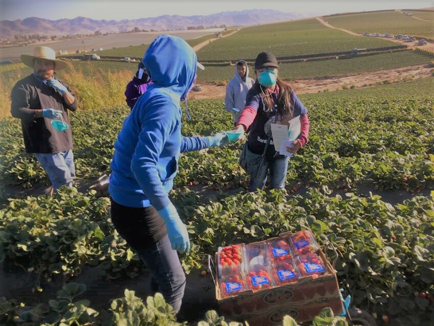 Members of MICOP hand out masks in a field.