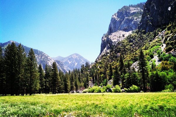 Zumwalt Meadow. Photos by Farley Elliott.