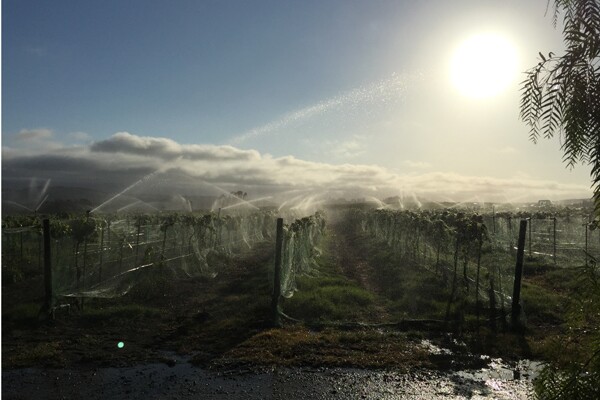 babcock-600-400-irrigation