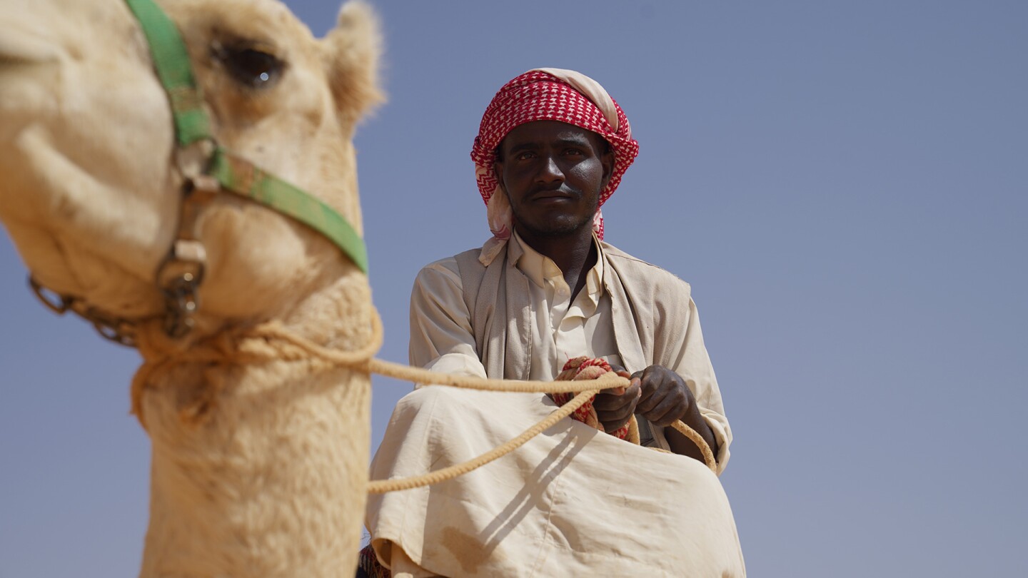 A man sitting on a camel looks down into the camera.
