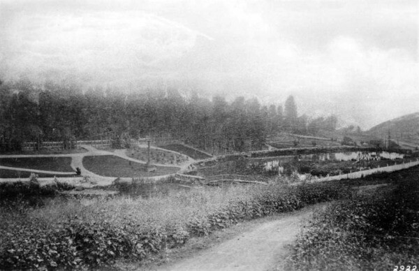 Second Street Park was nestled in the ravine of the Arroyo de los Reyes, as seen in this 1887 photo. Courtesy of the USC Libraries - California Historical Society Collection.