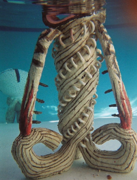 Amelia Lockwood's work of art can be viewed in a pool.