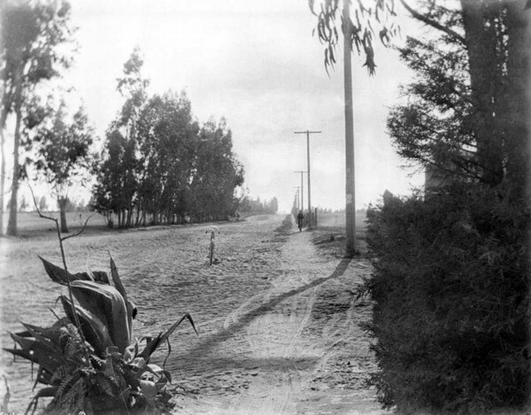 The Santa Monica Cycle Path at Washington and Western, circa 1900. Courtesy of the USC Libraries - California Historical Society.