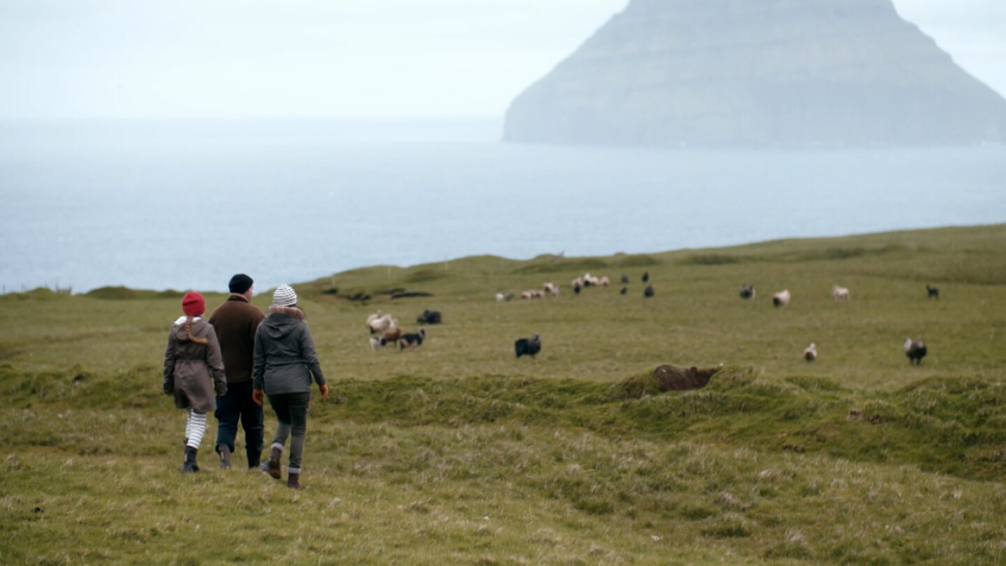 Three people walking through a pasture at the Faroe Islands.