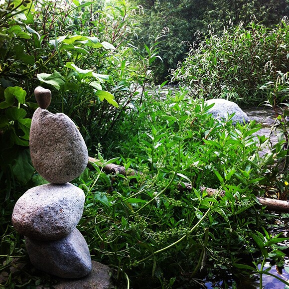 L.A. River oasis | Photo: Lila Higgins