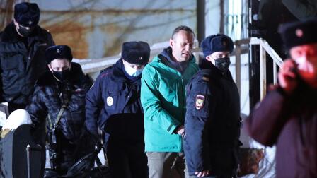 News Wrap: Opposition leader Navalny jailed in Russia