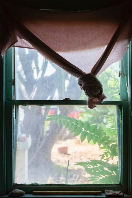 A photo of a window taken from the inside out. The window frame is a blue teal color and a dusty rose pink curtain is tied, covering the top half of the window. The outside of the window features green plants and a large tree in a backyard.