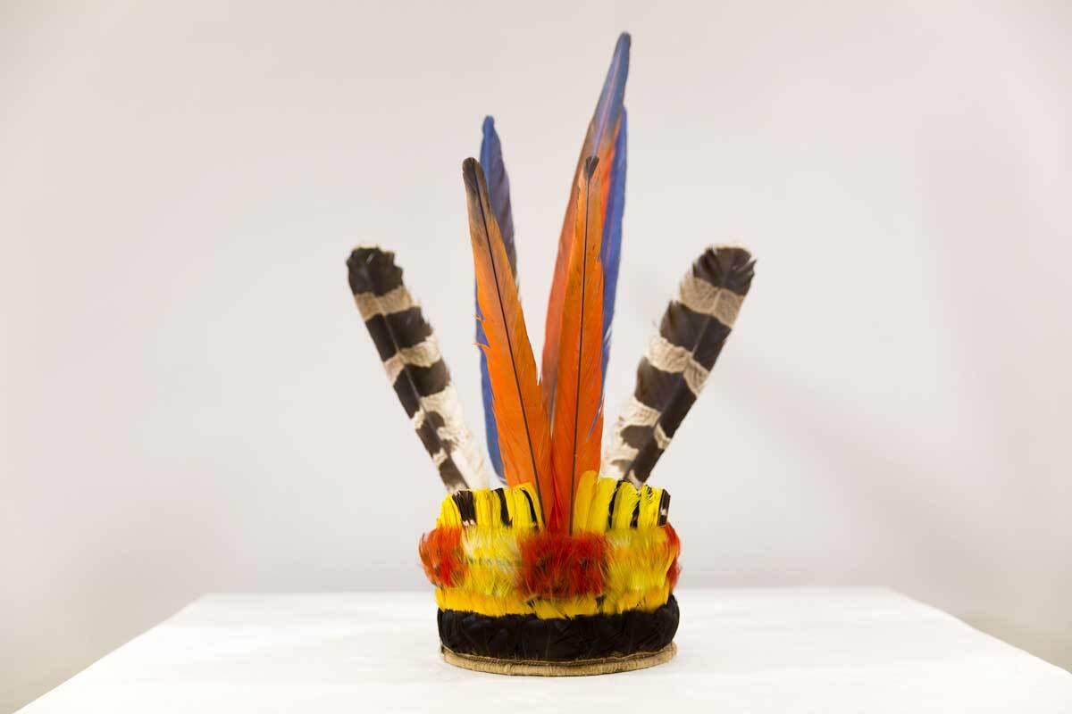 Headdress worn by Chief Raoni Metuktire, collection of the Global Museum, San Francisco State University. | Courtesy of the Global Museum.