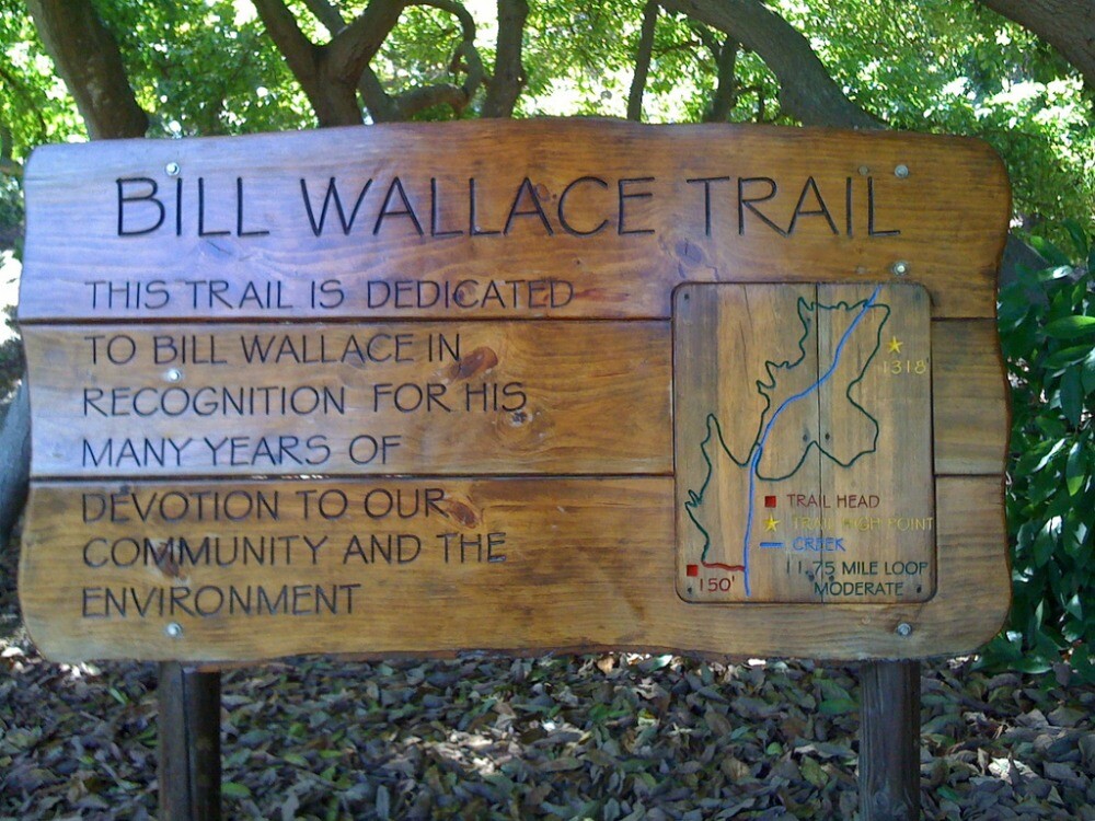 bill20wallace20trail-beach20hikes-santa20barbara-california.jpg