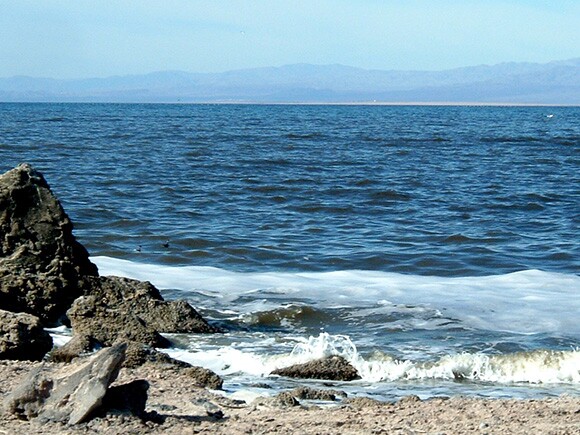 Shoreline of the Salton Sea at Obsidian Butte by Ruth Nolan.jpg