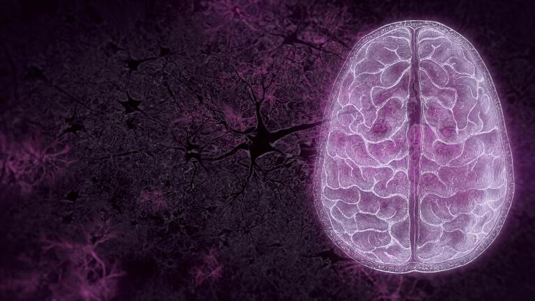 Your Brain: Perception Deception Preview
