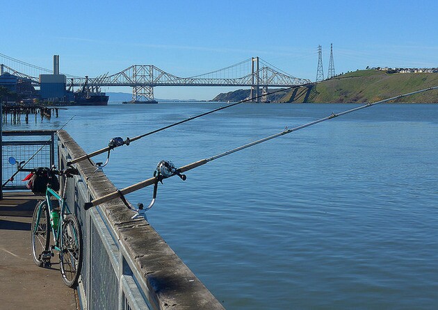 sea-level-rise-1-7-16-15-thumb-630x446-95379