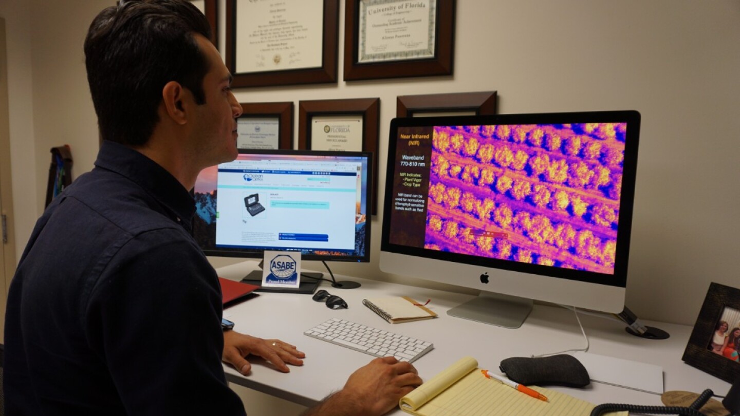 Ali Pourreza views the virtual orchard on his computer. | Ali Pourreza courtesy of UC Agriculture and Natural Resources