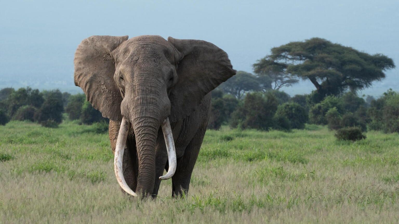 Stream Nature Seasons & Full Episodes | PBS SoCal