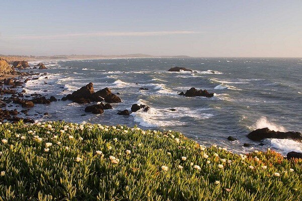 sonoma-coast-state-preserve
