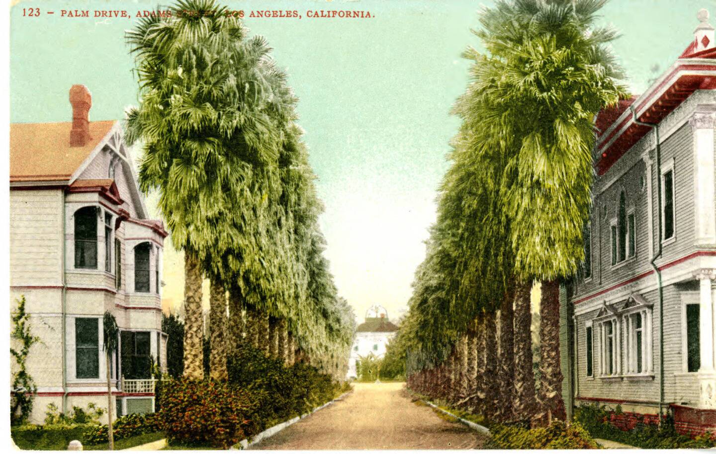 Palm Drive, Los Angeles