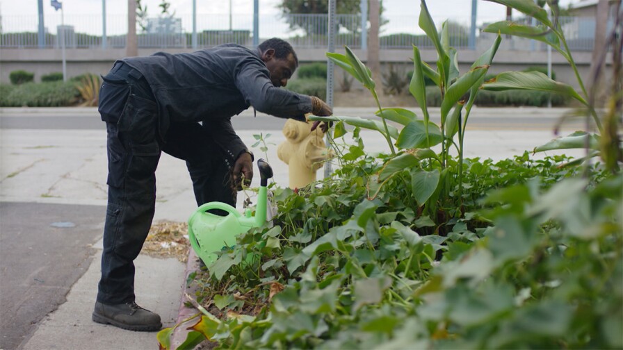Ron Finley tending his garden at the parkway. | Still from "Broken Bread" Access