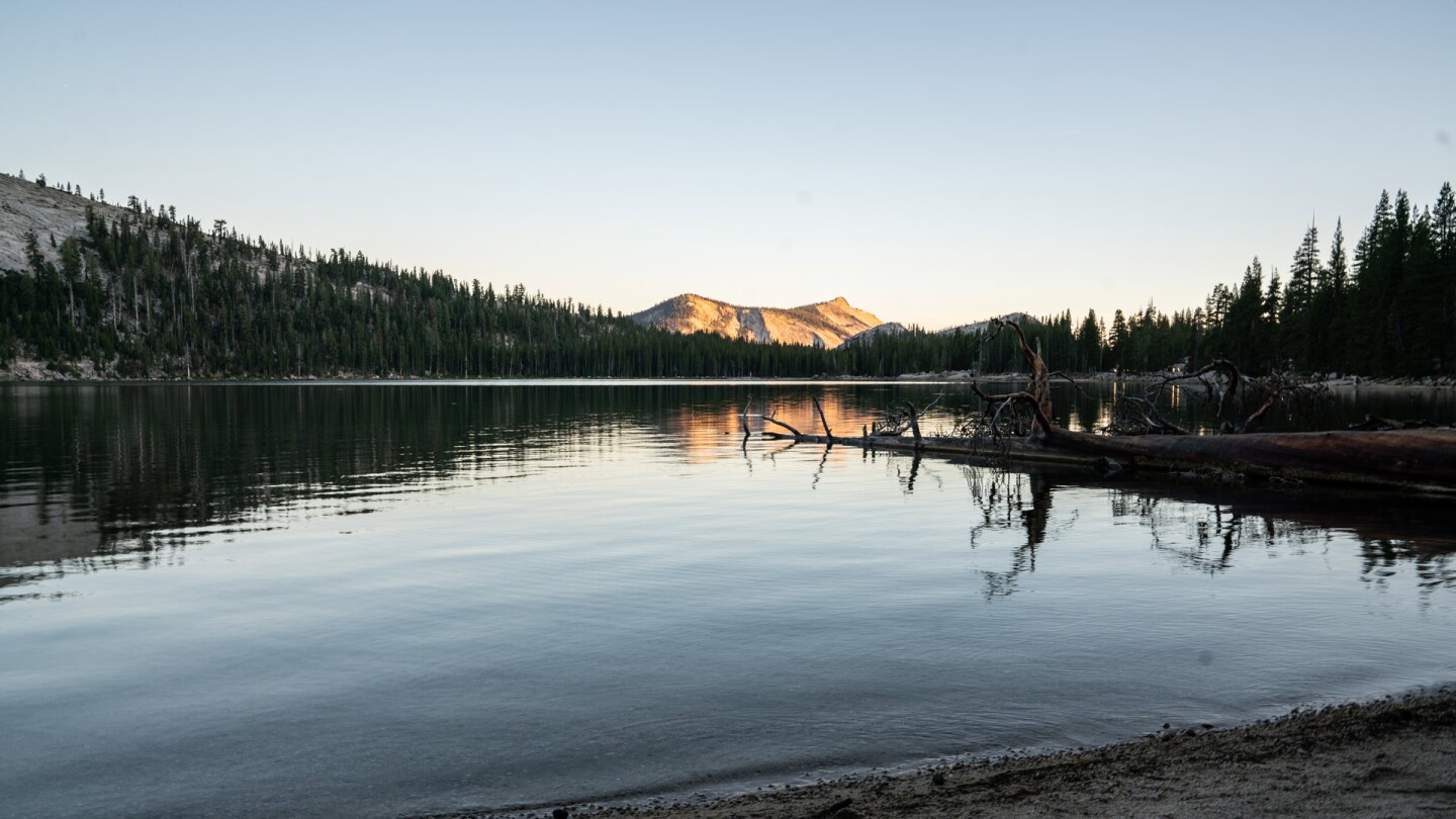 Yosemite - Lost LA - Banner