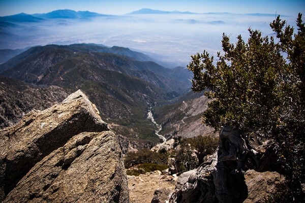 cucamonga_peak