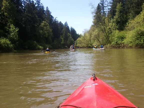 Paddling down the Tualatin River, a tributary of the Willamette River in Portland | Photo by Meredith McKenzie