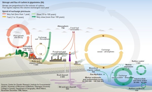 un-forestry-cycle