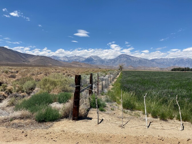 Two fields next to each other divided by a wood and wire fence with mountains in the background