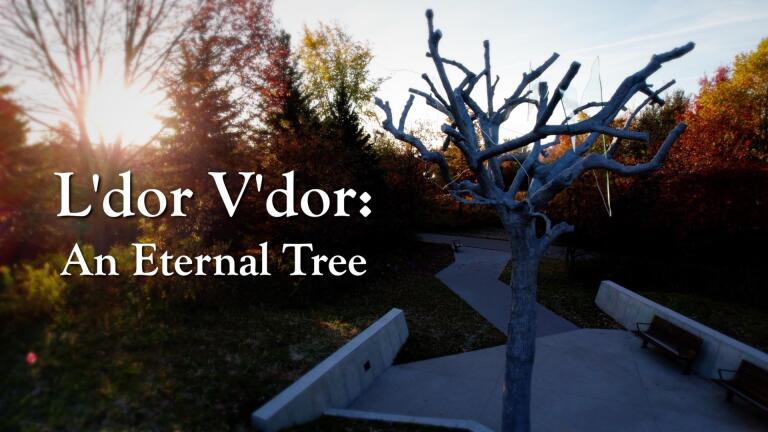 L'dor V'dor: An Eternal Tree