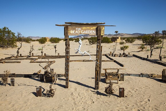 Lara Bank's Dead Garden. | Photo Kim Stringfellow.
