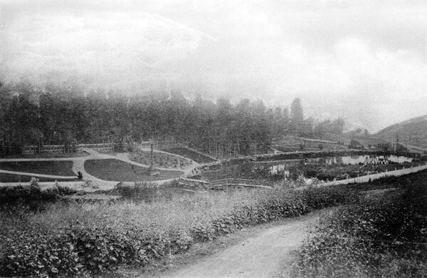 Circa 1887 view of Second Street Park, which was home to a lakelet just south of Echo Park. The park was located in the canyon of the Arroyo de los Reyes. Courtesy of the Title Insurance and Trust / C.C. Pierce Photography Collection, USC Libraries.