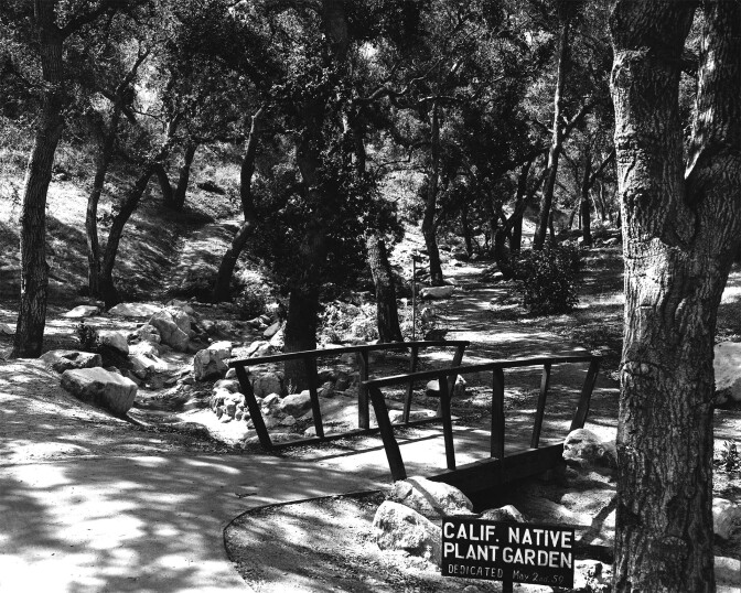 The California Native Plant Garden at Descanso Gardens