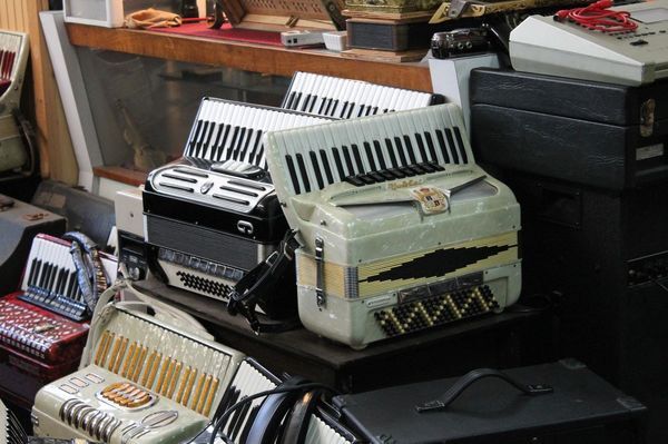 accordion05.jpg