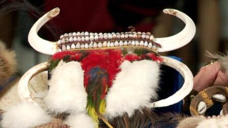 Web Appraisal: Irian Jaya Ethnographic Collection